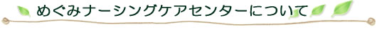 めぐみナーシングケアセンター