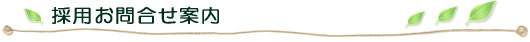 採用情報お問い合わせ先