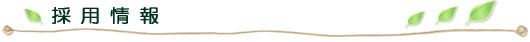 採用情報
